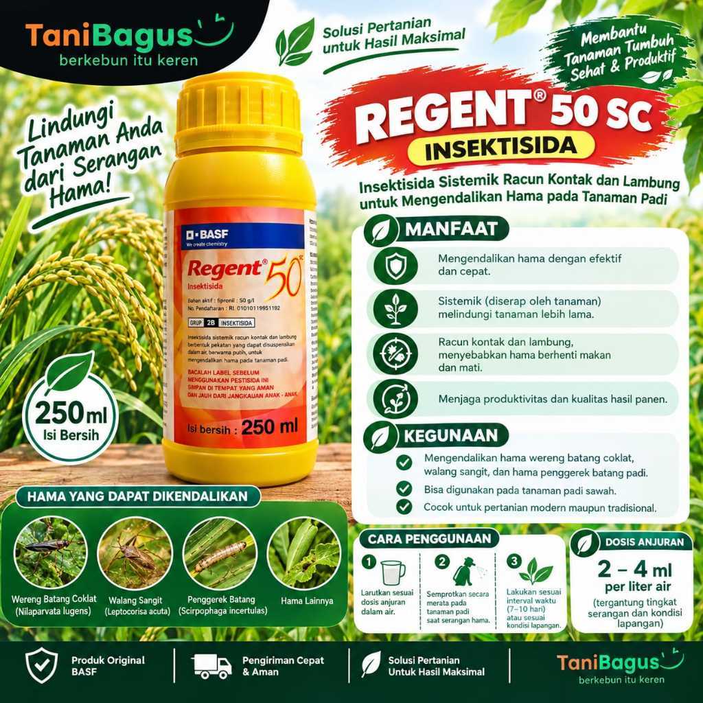 REGENT 50 SC (RED)