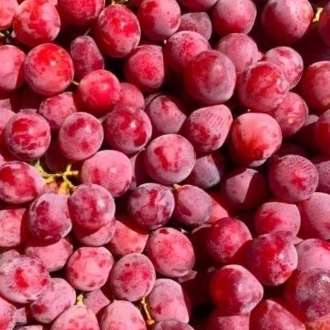 ANGGUR MERAH BIJI