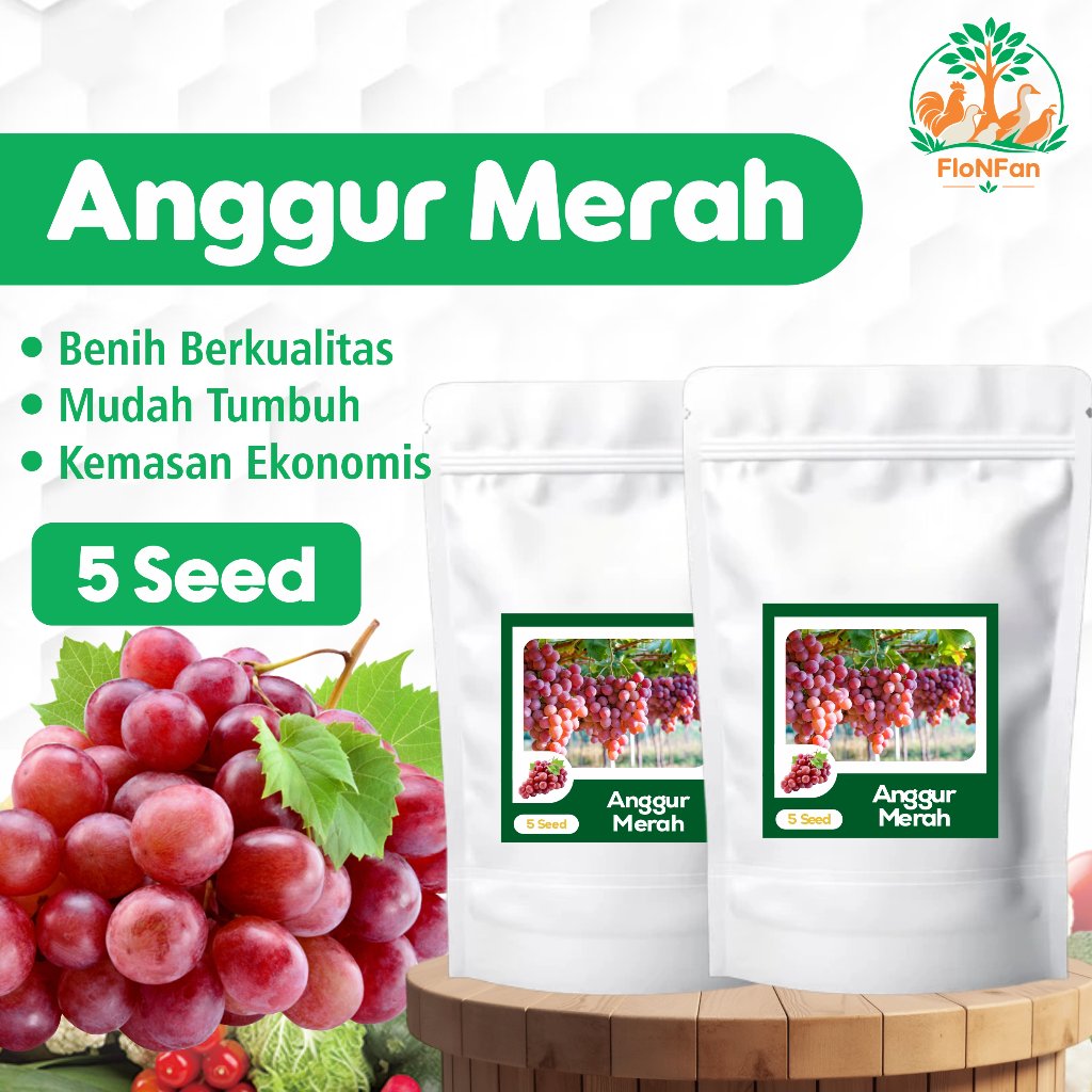 Benih Anggur Merah Biji Buah Anggur Unggul Berkualitas 5 Biji Benih Buah Anggur