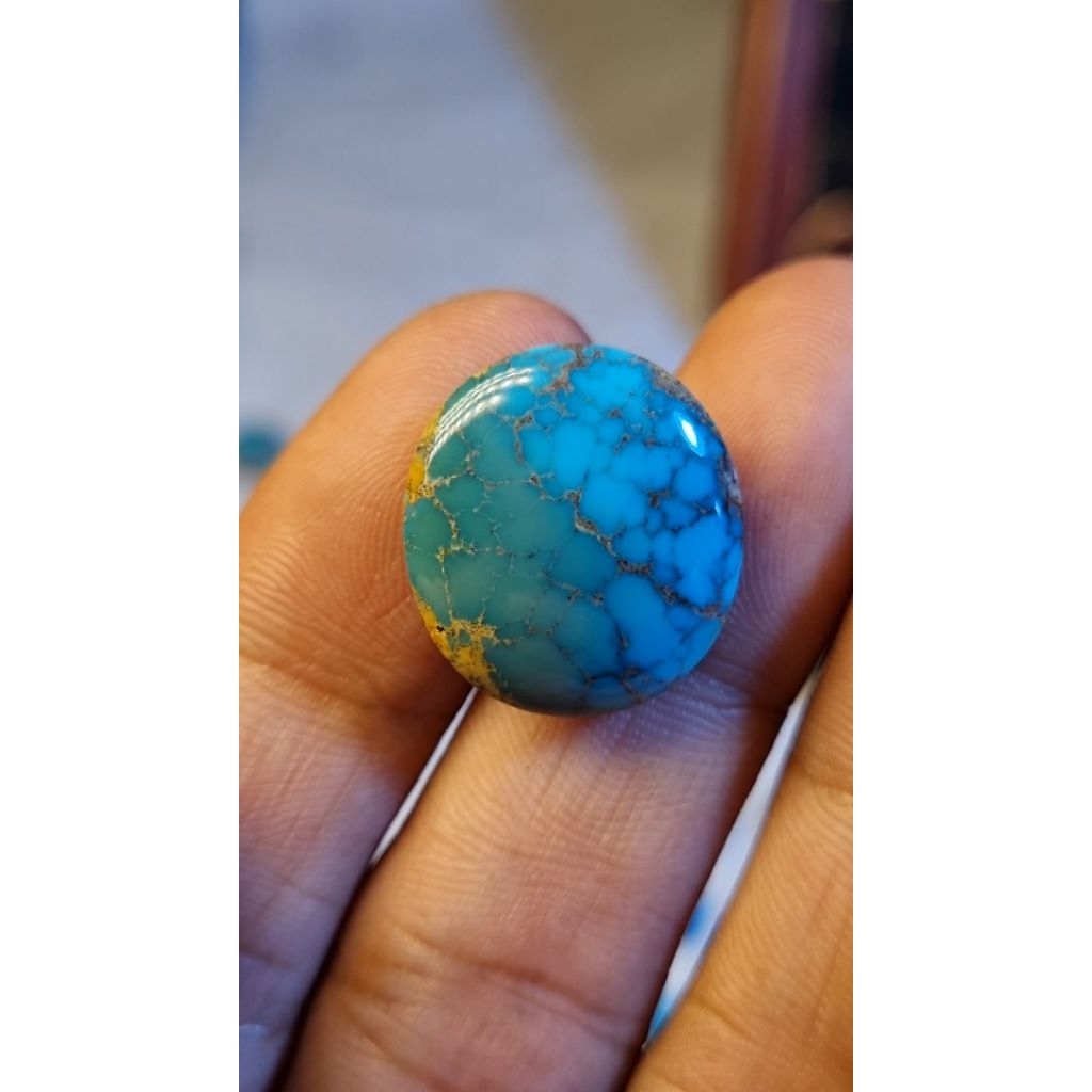 pirus persia tosca ijo