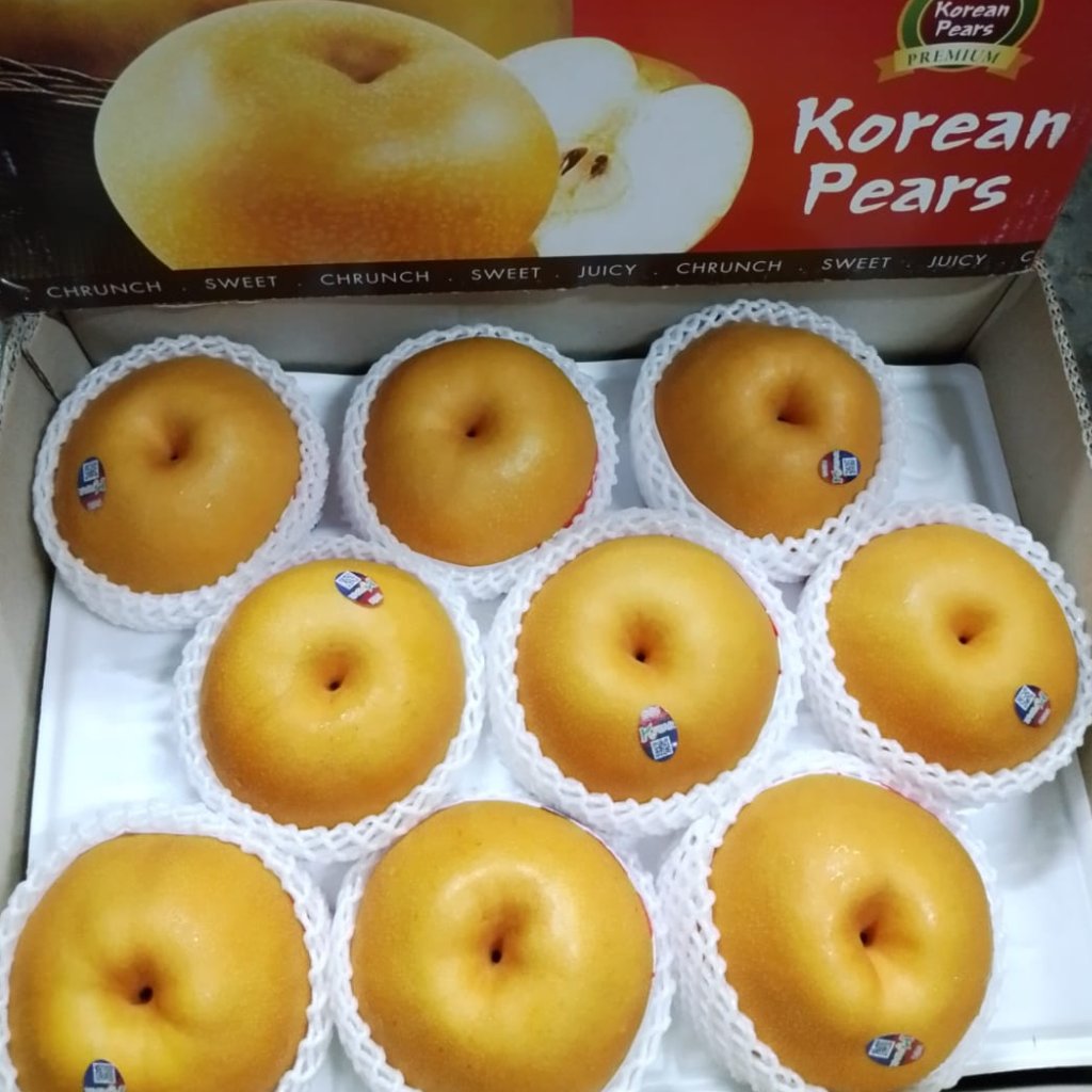 Pear Singo Korea