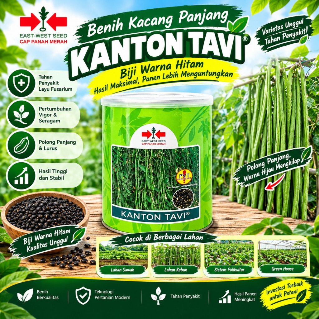 Bibit kacang panjang KANTON TAVI 500gr