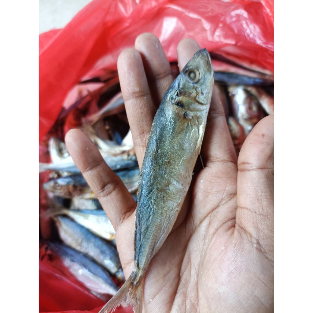 

Ikan asin layang/ikan asin klotok termurah