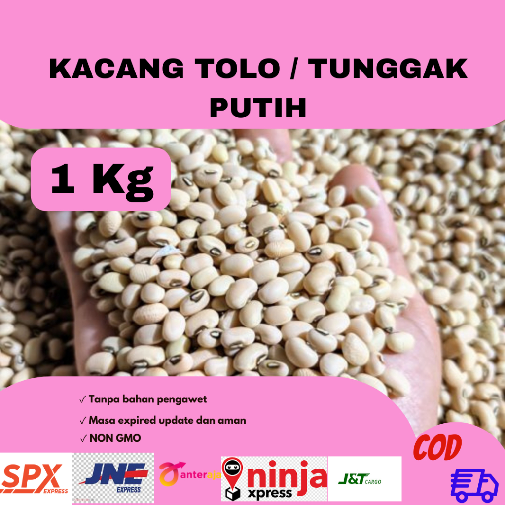 

1 Kg Promo Kacang Tolo Putih Berkualitas