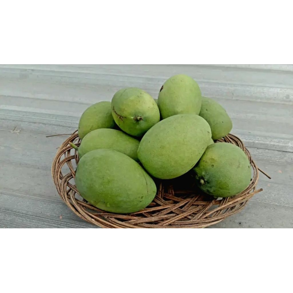 

mangga muda 500 gr