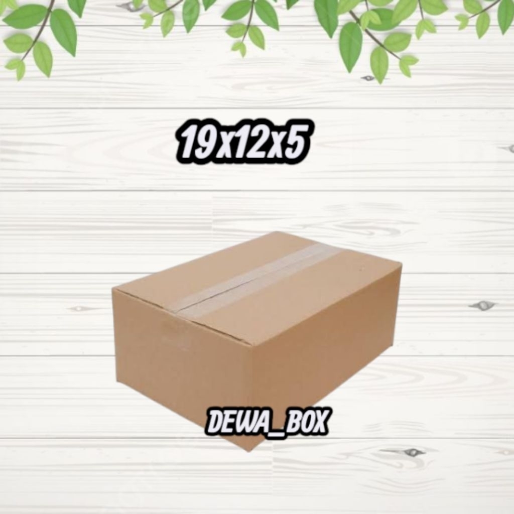 

kardus_box_packing_19x12x5