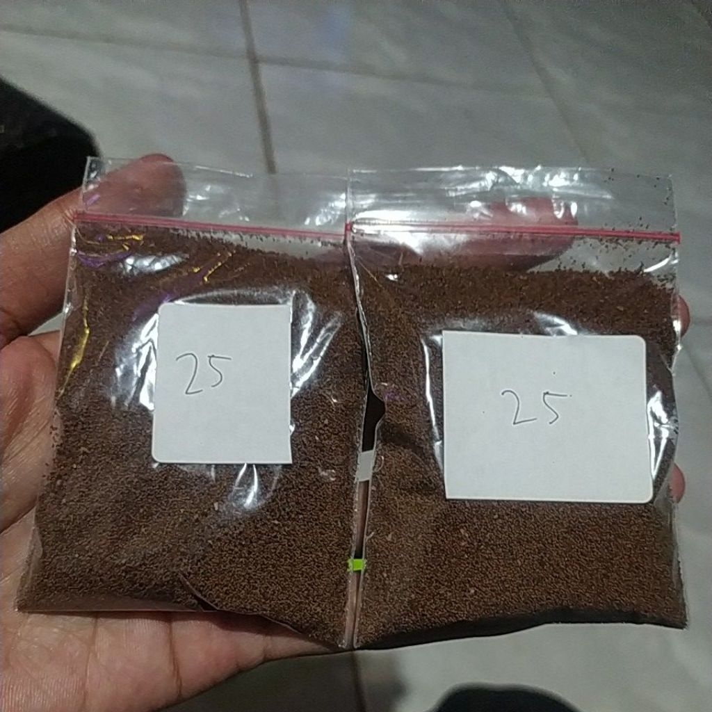 

bibit biji bakau berkualitas