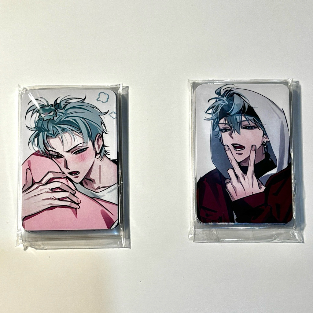 PHOTOCARD SET TILL ALNST BY HAKO