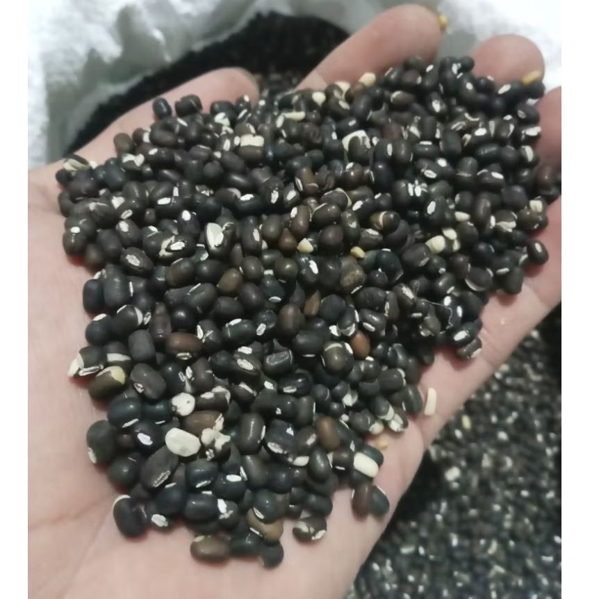 

Kacang hitam 1kg serbaguna aneka kue / pakan ternak dll