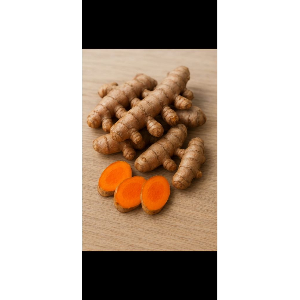 

kunyit fresh segar langsung dari petani 1kg