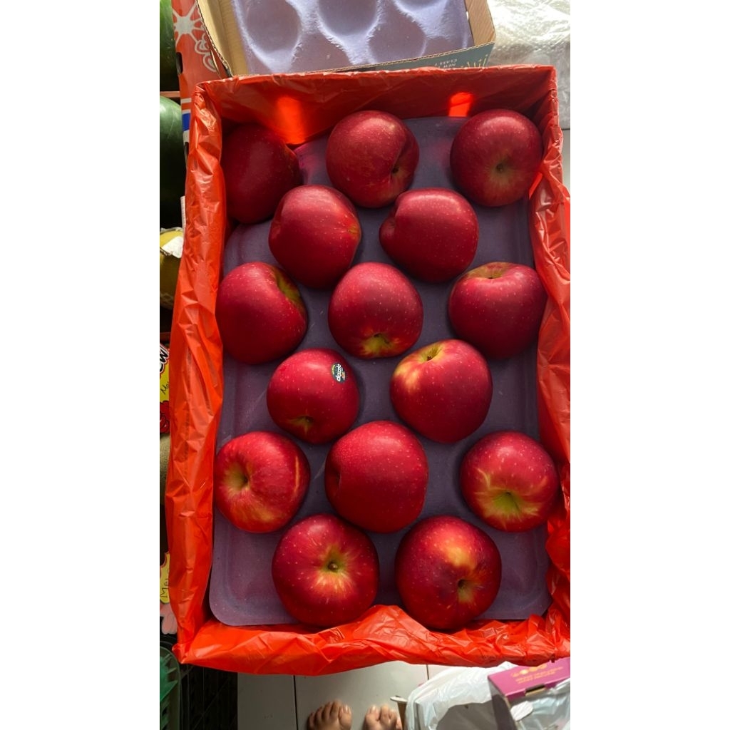 

Apel Dazzle New Zealand (1kg)