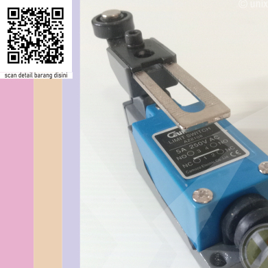 Limit Switch AZ8108 Camsco