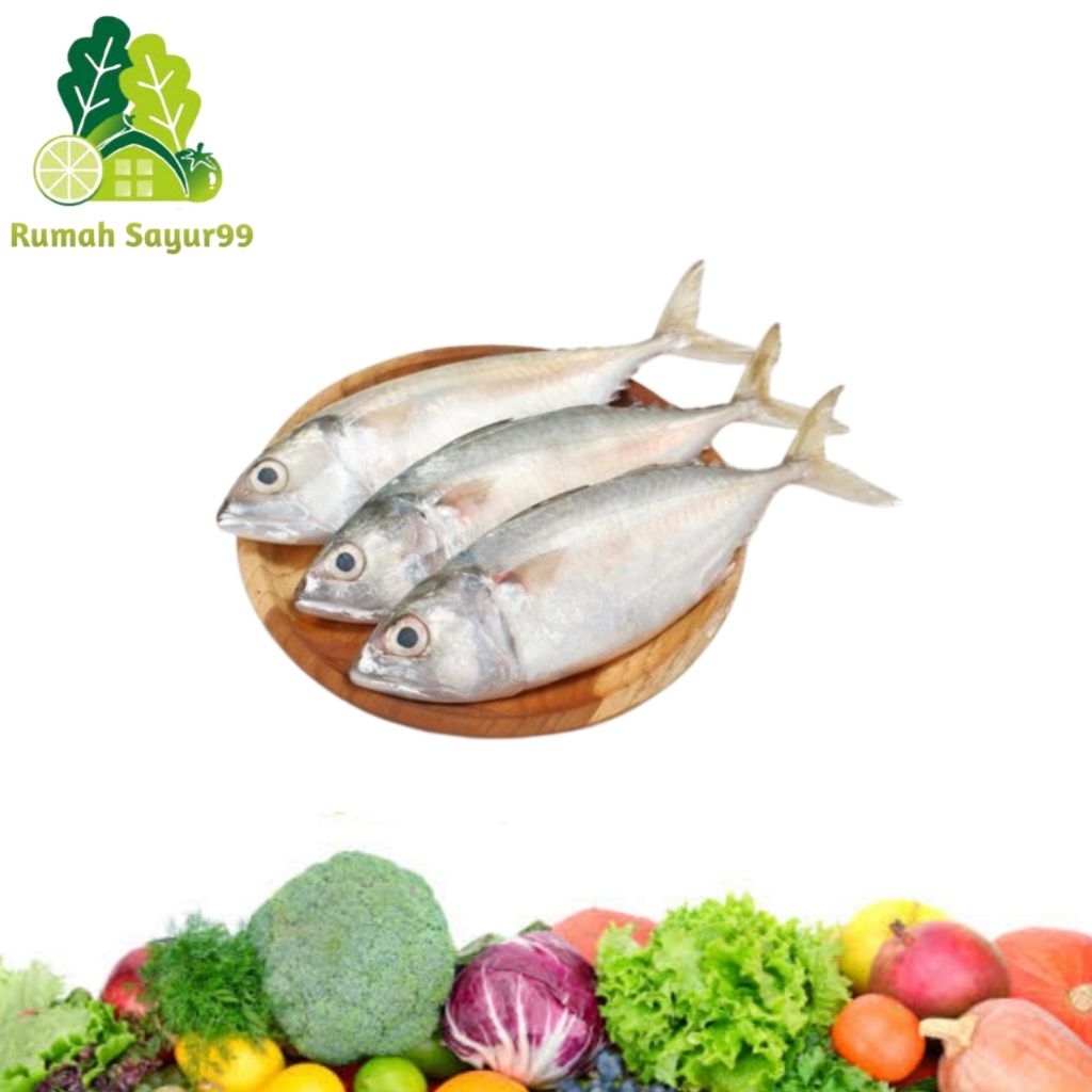 Ikan Kembung | Ikan Kembung segar berkualitas 1kg