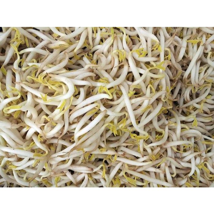 

SAYUR TAUGE / TOGE PANJANG / KECAMBAH KEDELAI FRESH