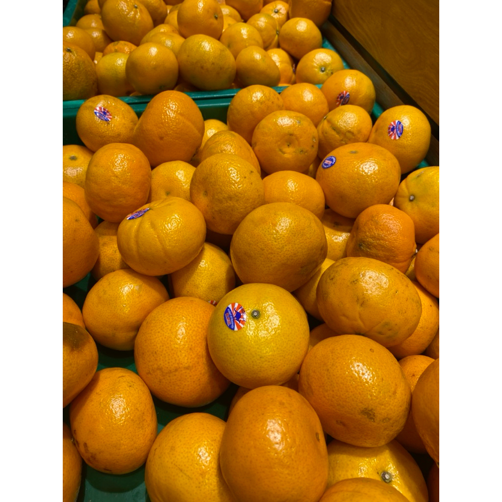 

Jeruk Wogan Mandarin 1Kg