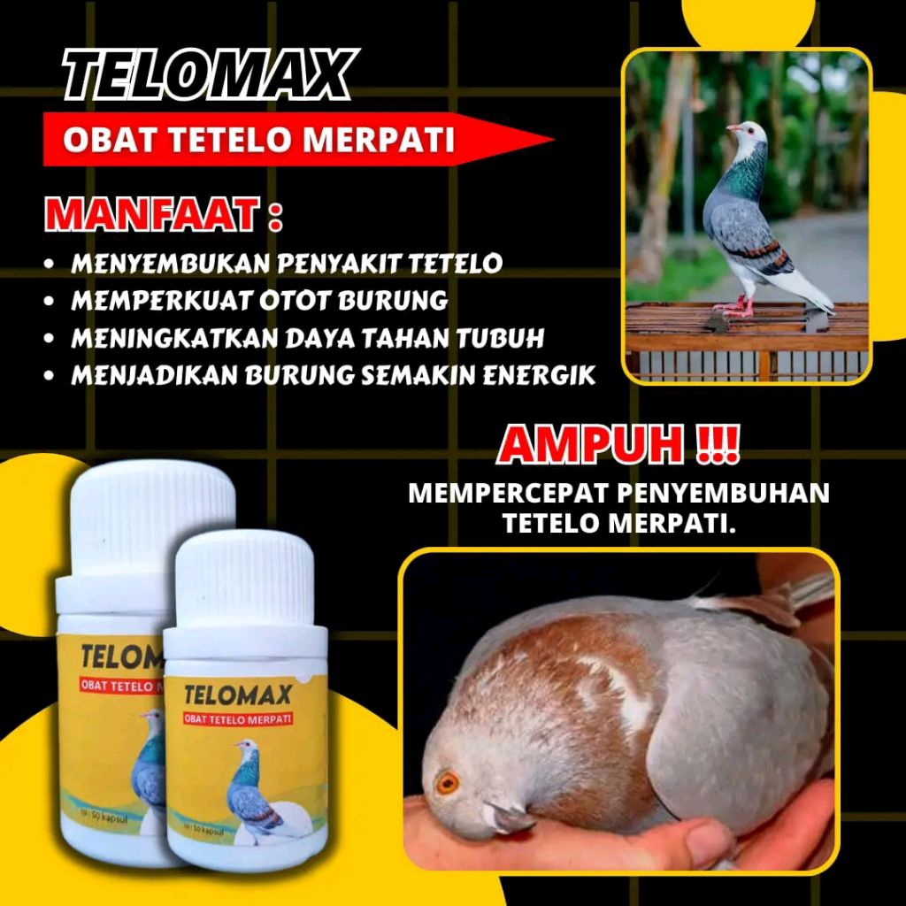 OBAT TETELO MERPATI