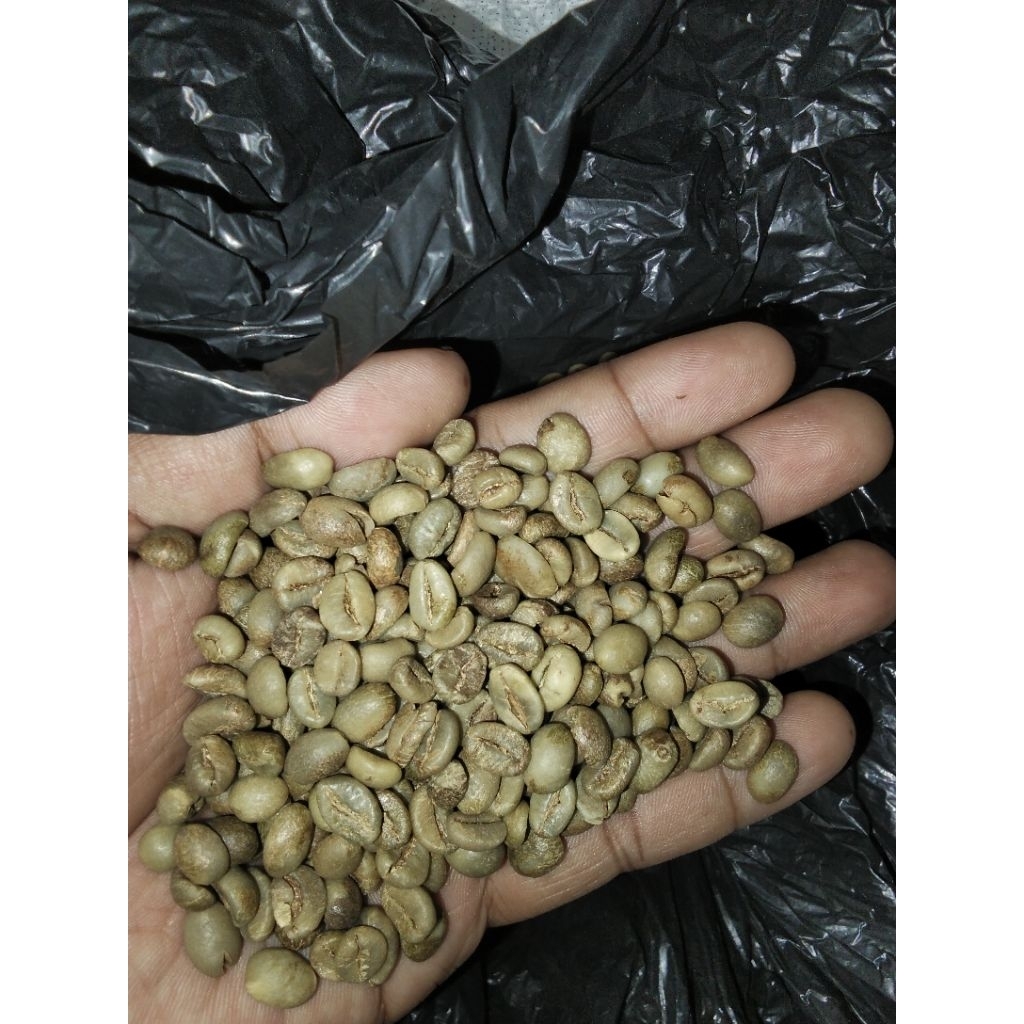 

BIJI KOPI/GREENBEEN KOPI ROBUSTA LERENG ARGOPURO