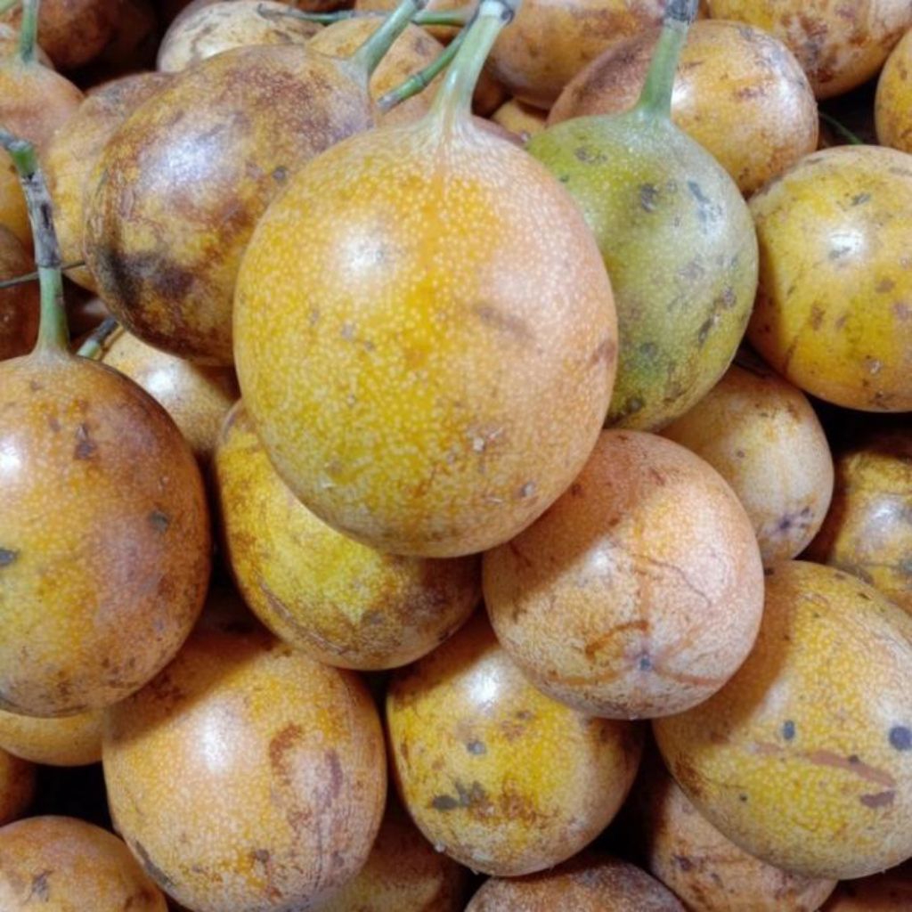markisa kuning manis//buah markisa manis