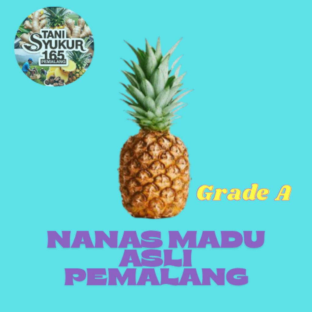 

NANAS MADU PEMALANG GRADE A