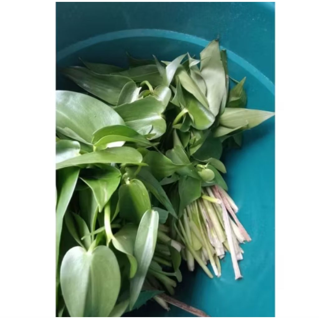 

sayur eceng sawah masih segar 500gr