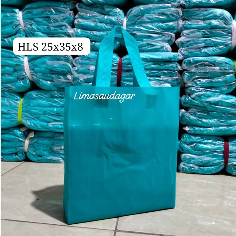 

Goodie Bag HLS 25x35 Spunbond Polos Tebal Souvenir & Hajatan
