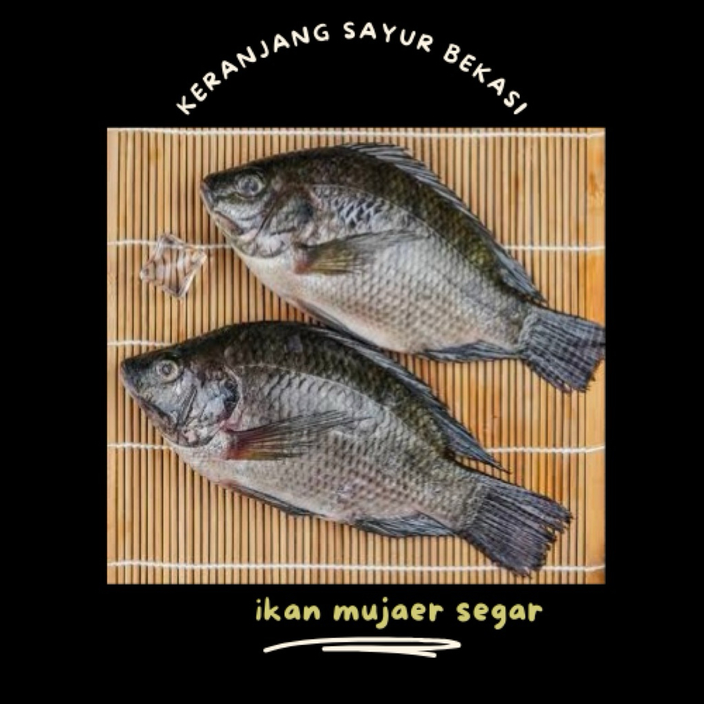 

ikan mujaer segar / keranjang sayur bekasi
