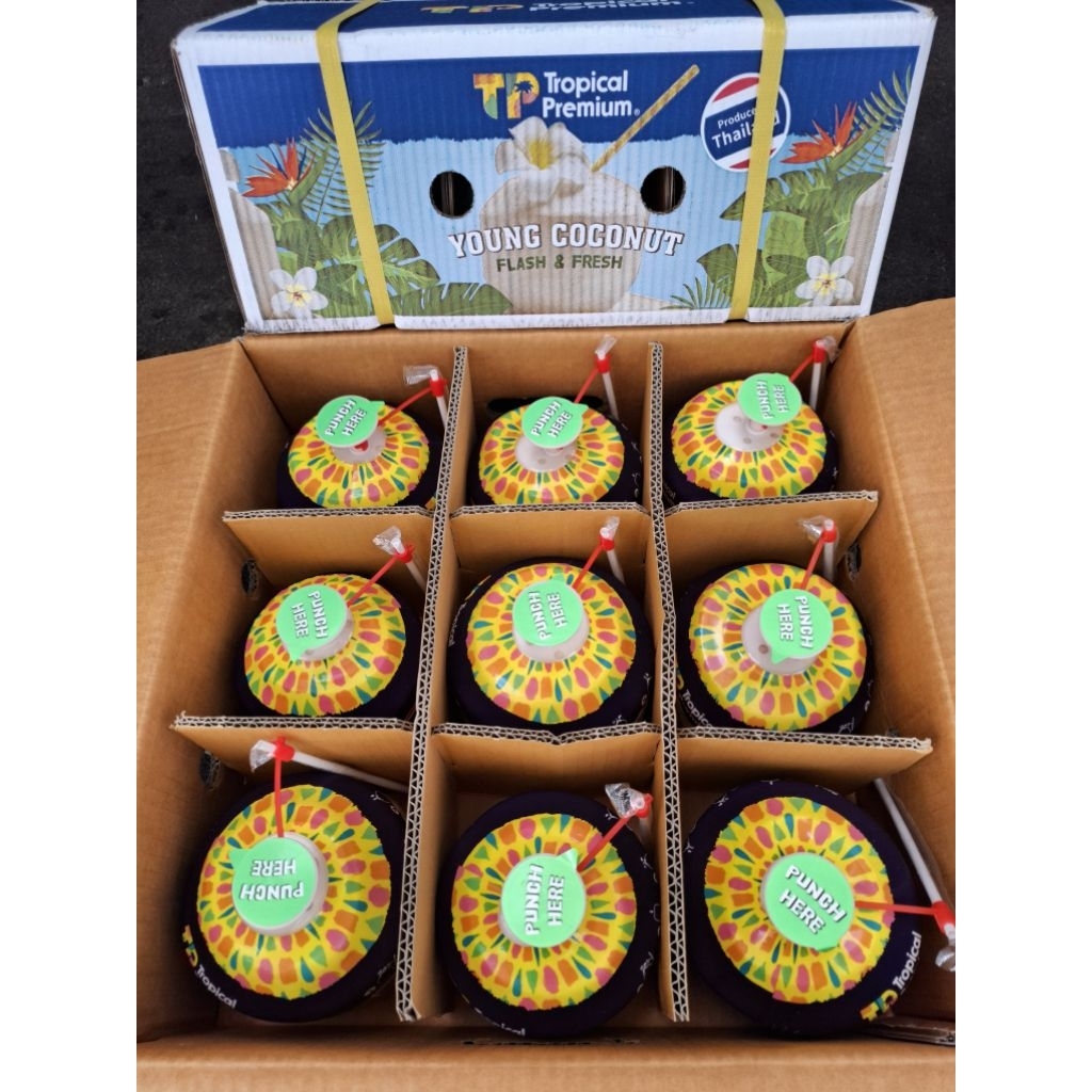 

COCO THUMB KELAPA THAILAND