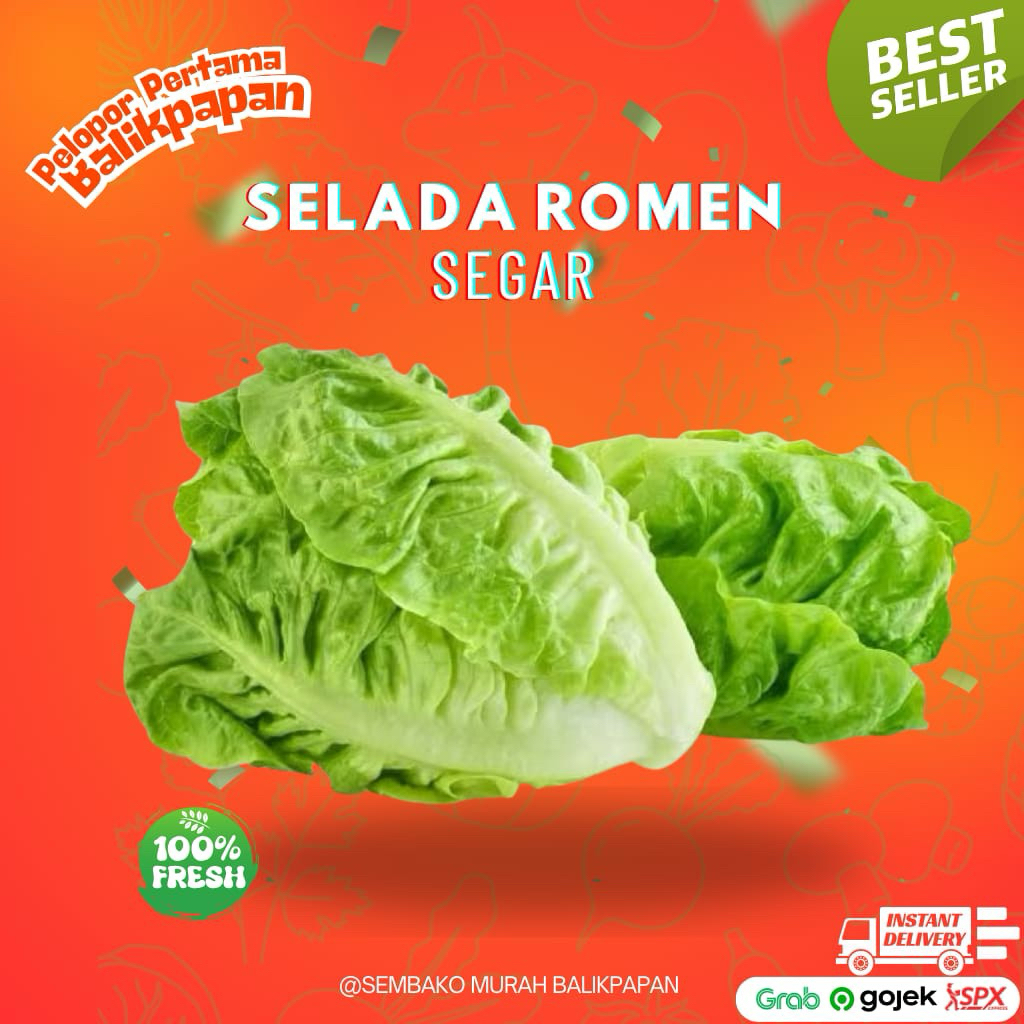 

Selada romen segar 500gr