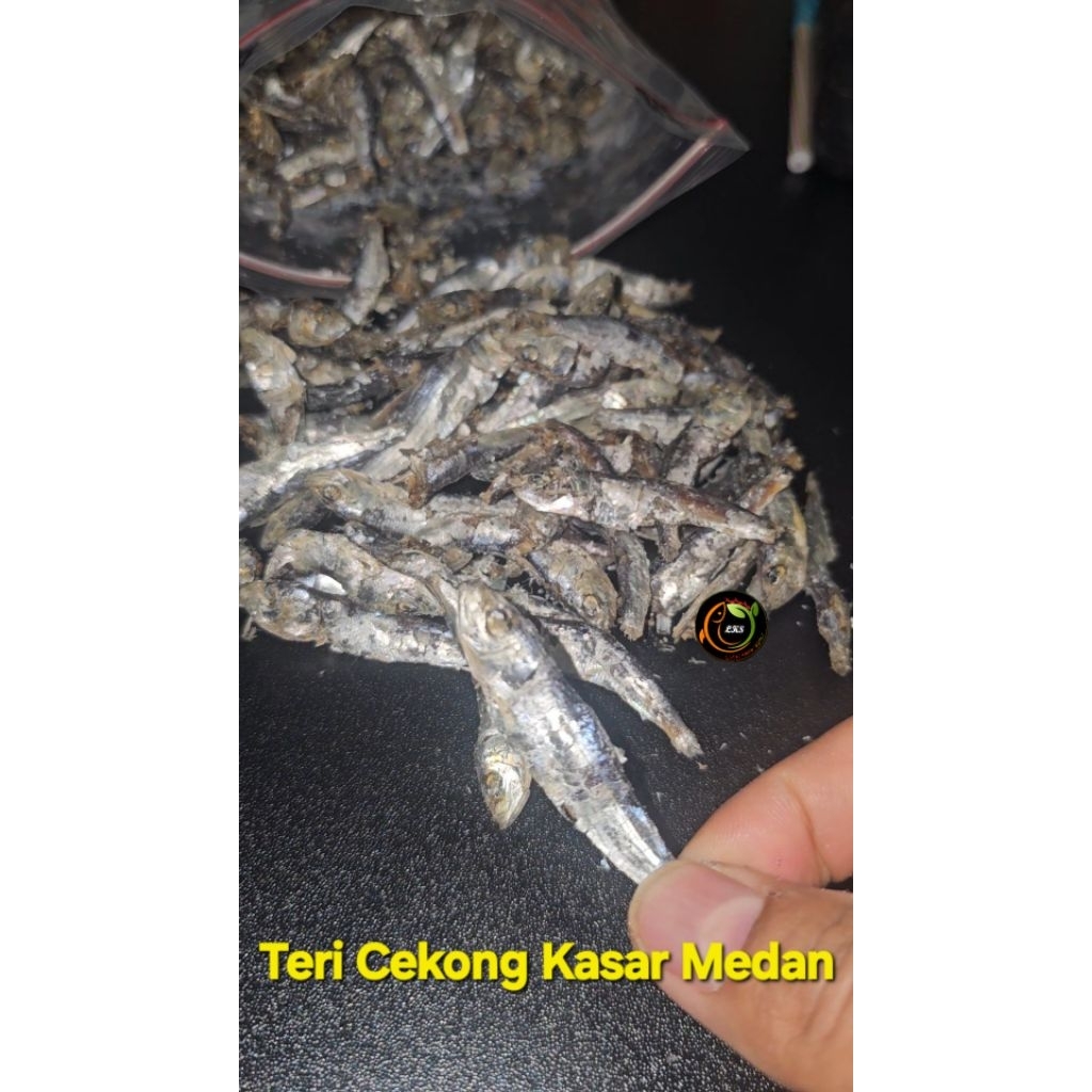

IKAN TERI CEKONG MEDAN KASAR