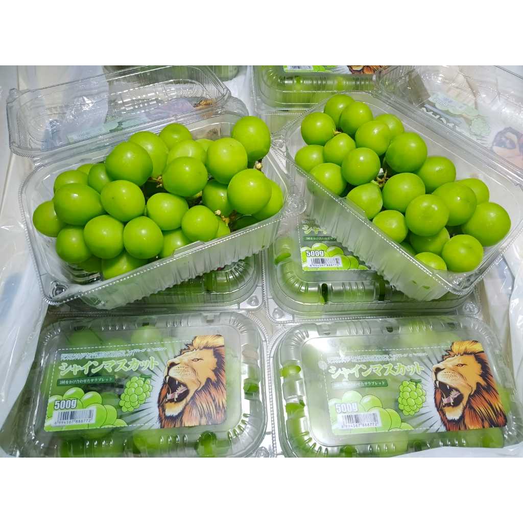 

ANGGUR SHINE MUSCAT 500GR