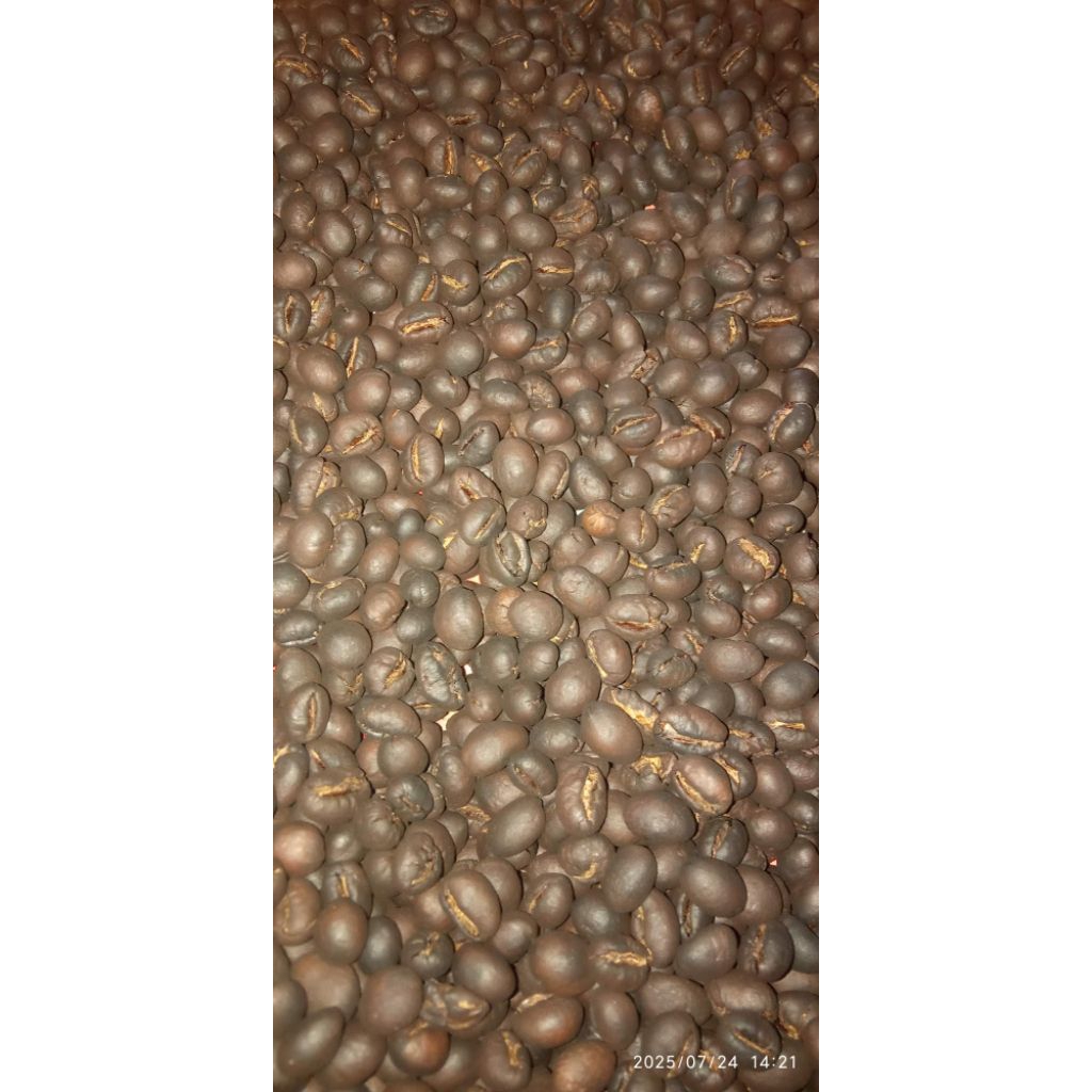

kopi robusta Banyuwangi