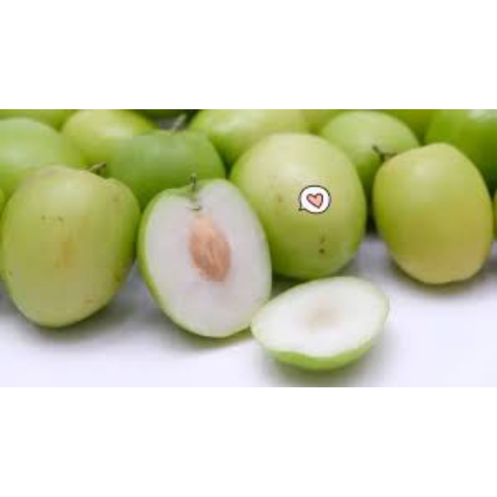 

buah bidara - buah widara fresh per 100gr