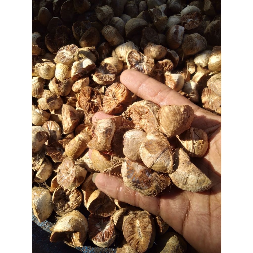 

pinang kering 1 kg kwalitas super