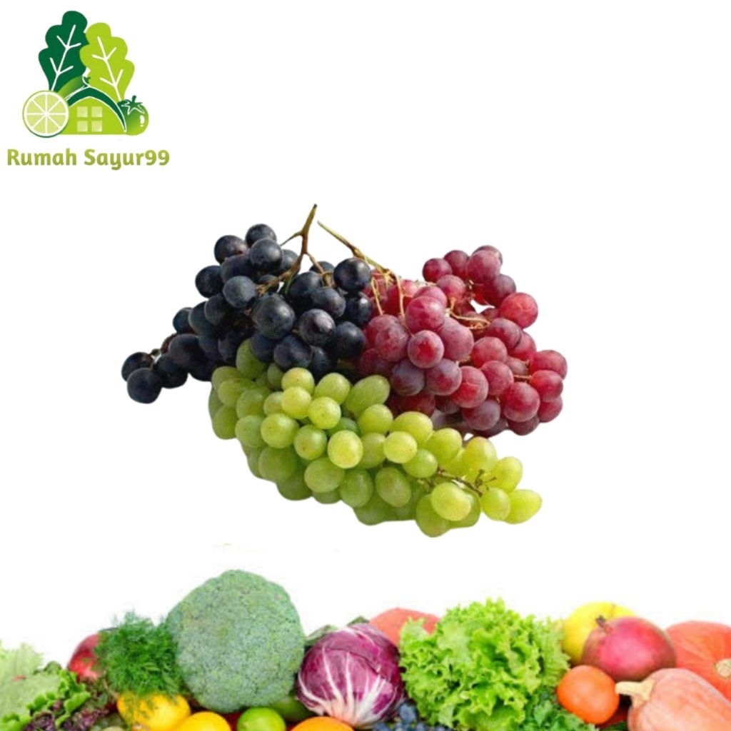 

Anggur manis anggur redglobe anggur moondrops anggur thompson seedless 1kg