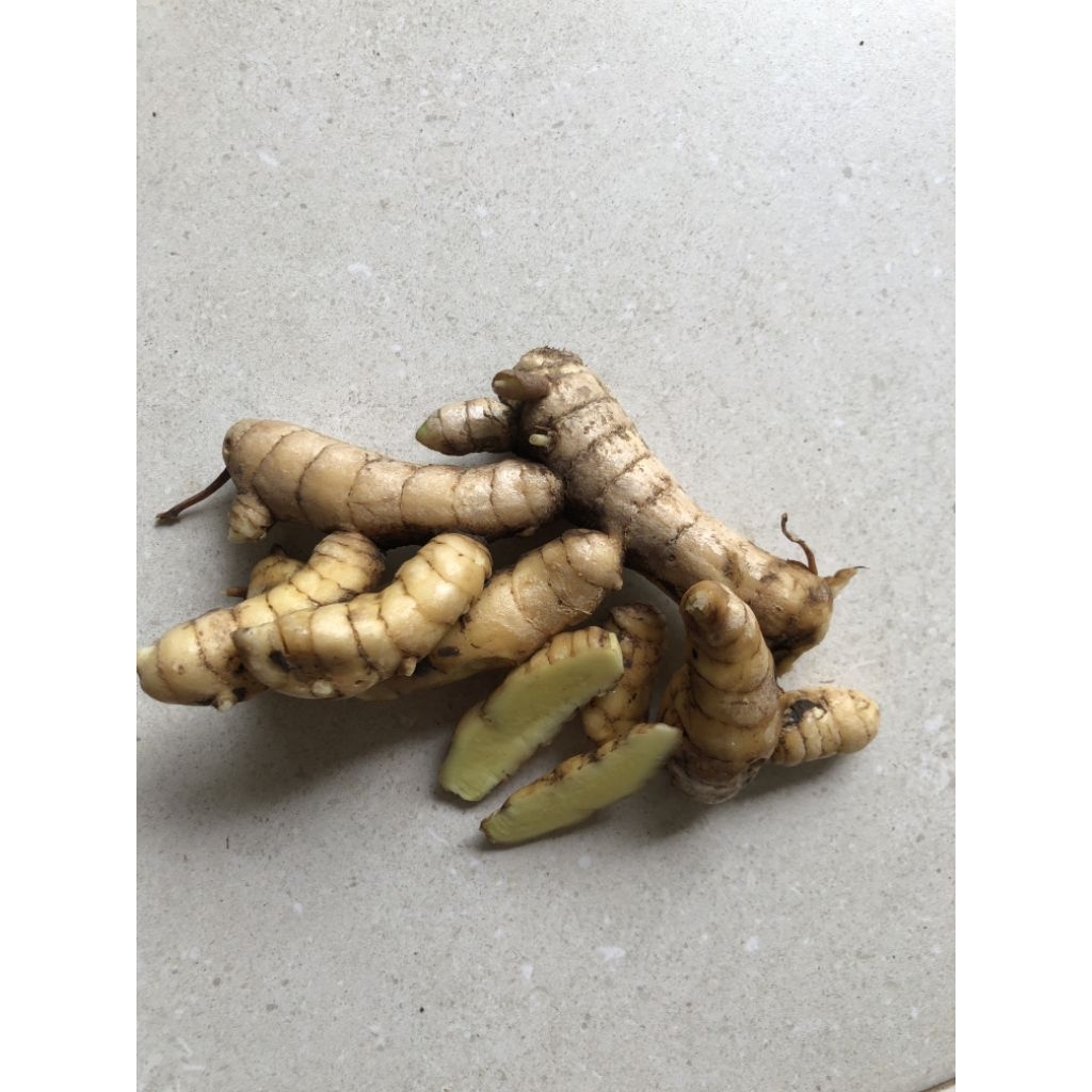 

Kunyit putih/Temu putih