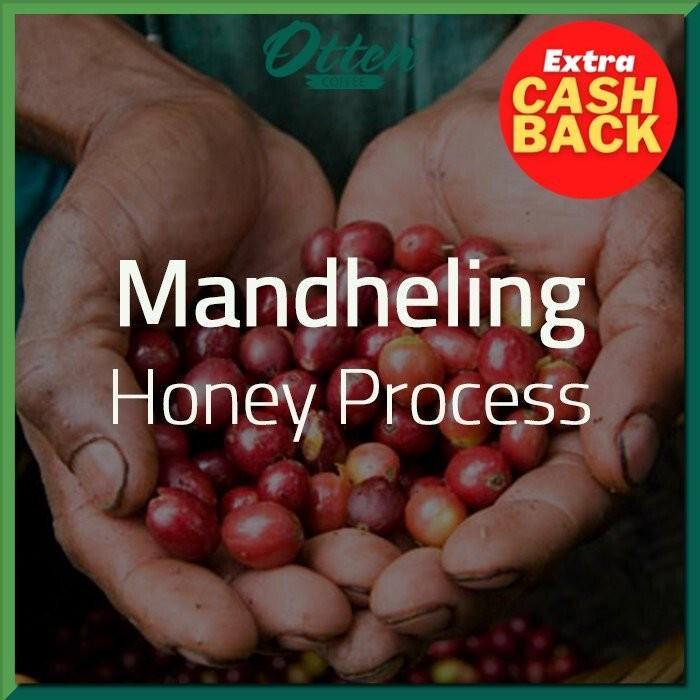 

Green Bean Kopi Arabica Mandheling Honey Process - 1 Kg - Biji Kopi Mentah Siap Roasting - Otten