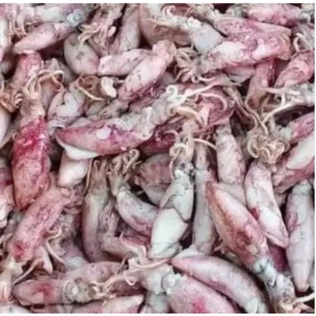 

Cumi Asin Enak/Cumi Asin Kering/Sotong Kering Murah/Sotong 3-6Cm/Cumi Kering Murah