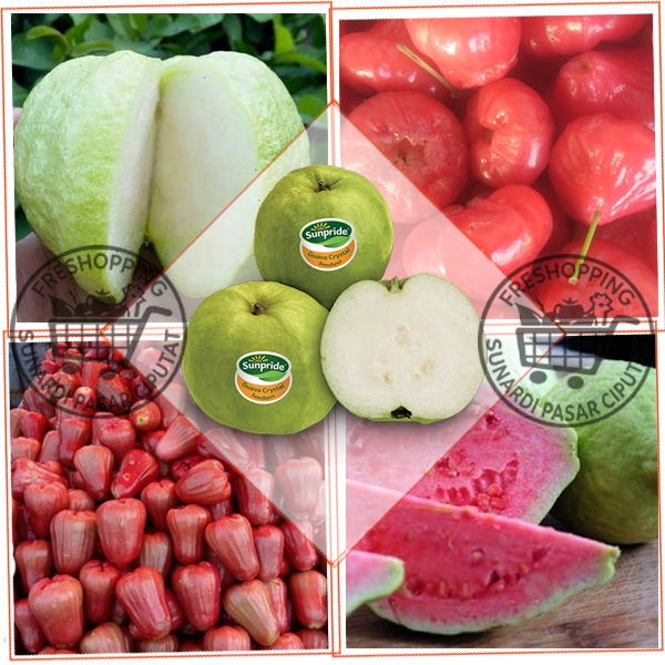 

Jambu all varian Per 1kg