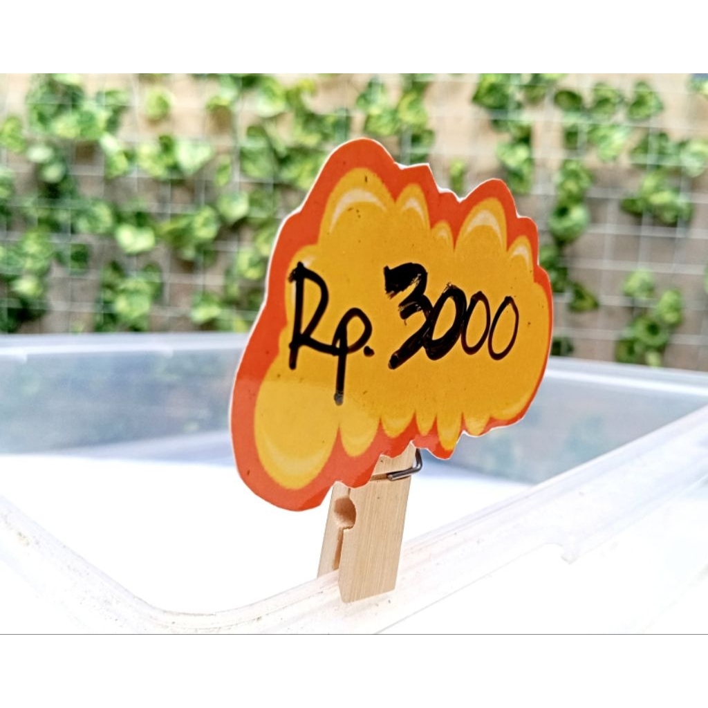 

LABEL HARGA, LABEL HARGA WIPE AND CLEAN DAN PENJEPIT,POP CARD PRICE TAG,KARTU PROMOSI SALE, KERTAS PENJEPIT INFO HARGA,SIGN HARGA, ISI 10 PCS LABEL HARGA SIAP PAKAI SUDAH BERIKUT PENJEPIT ESTETIK BAHAN KAYU BAMBU