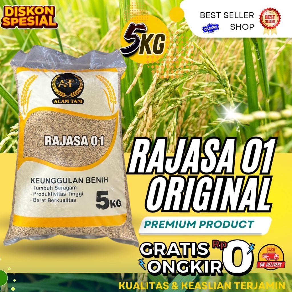 Benih padi unggul rajasa 01 original kemasan 5kg
