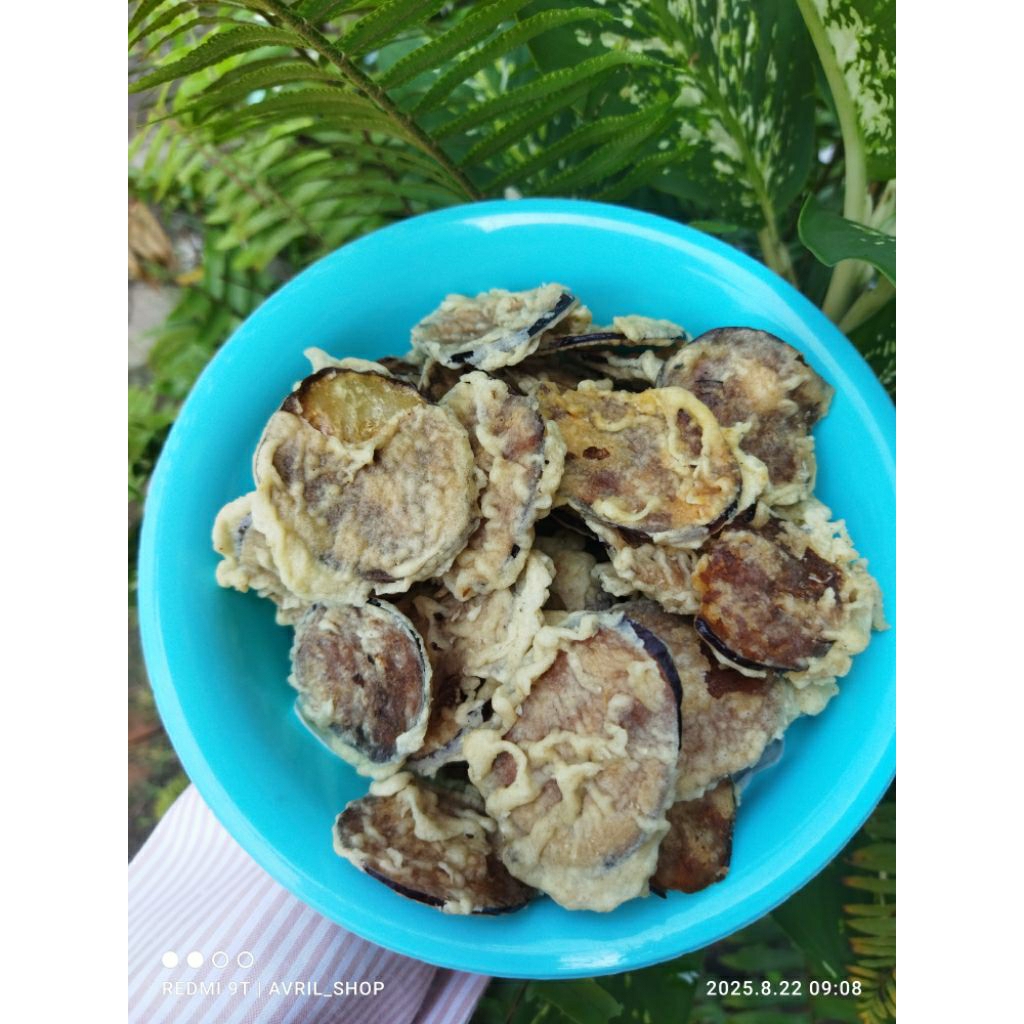 

keripik terong krispi/kripik terong gurih/keripik terong crispy gurih