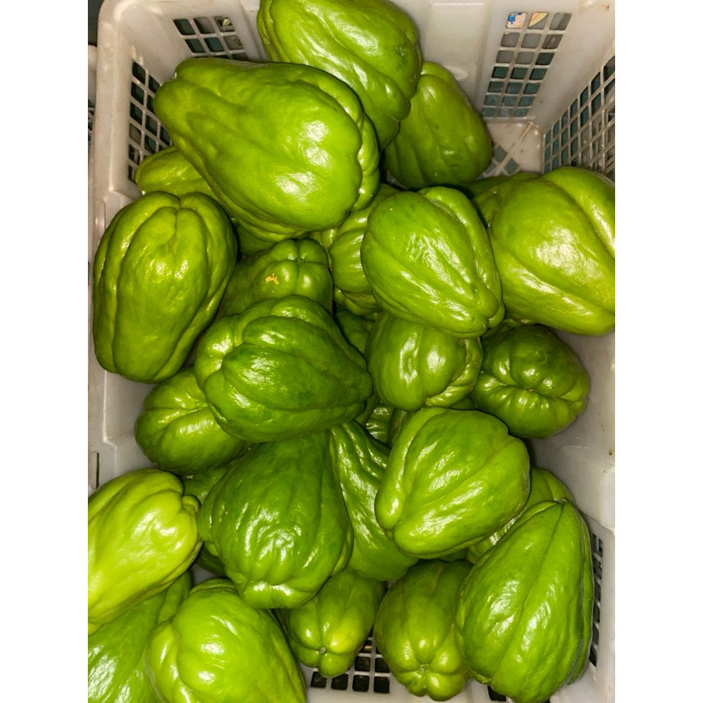 

Labu Siam Organik – Sayuran Segar, Cocok untuk Tumis & Sayur Lodeh