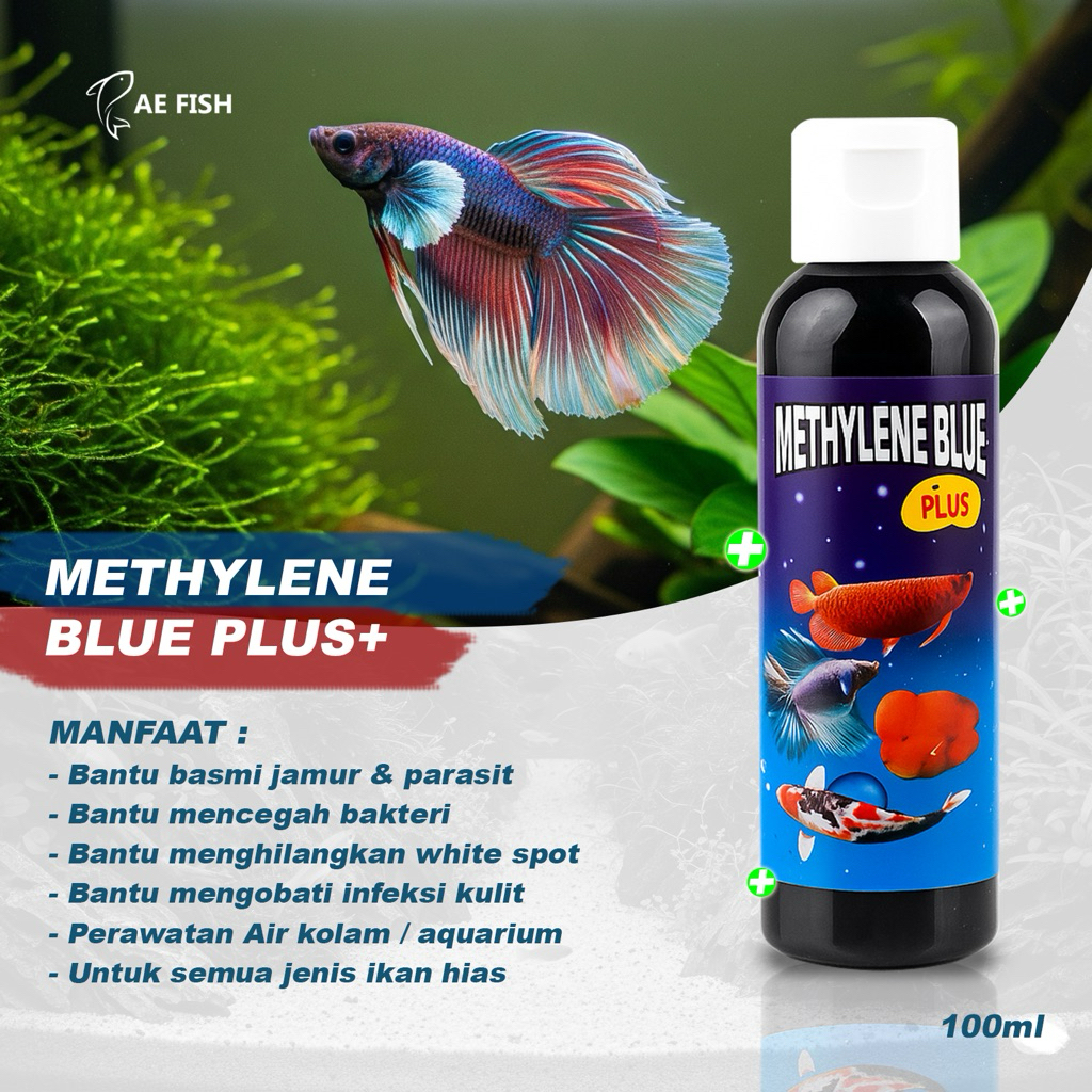 Methylene blue plus obat biru ikan hias cupang Guppy louhan koi koki arwana