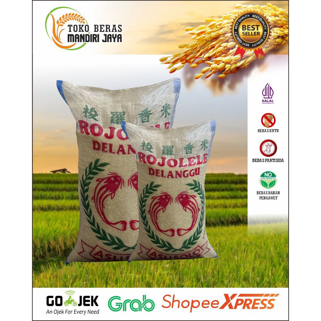 

Rojolele Delanggu Solo Tersedia ukuran 5 liter 5 kg sampai 20 liter 20 kg