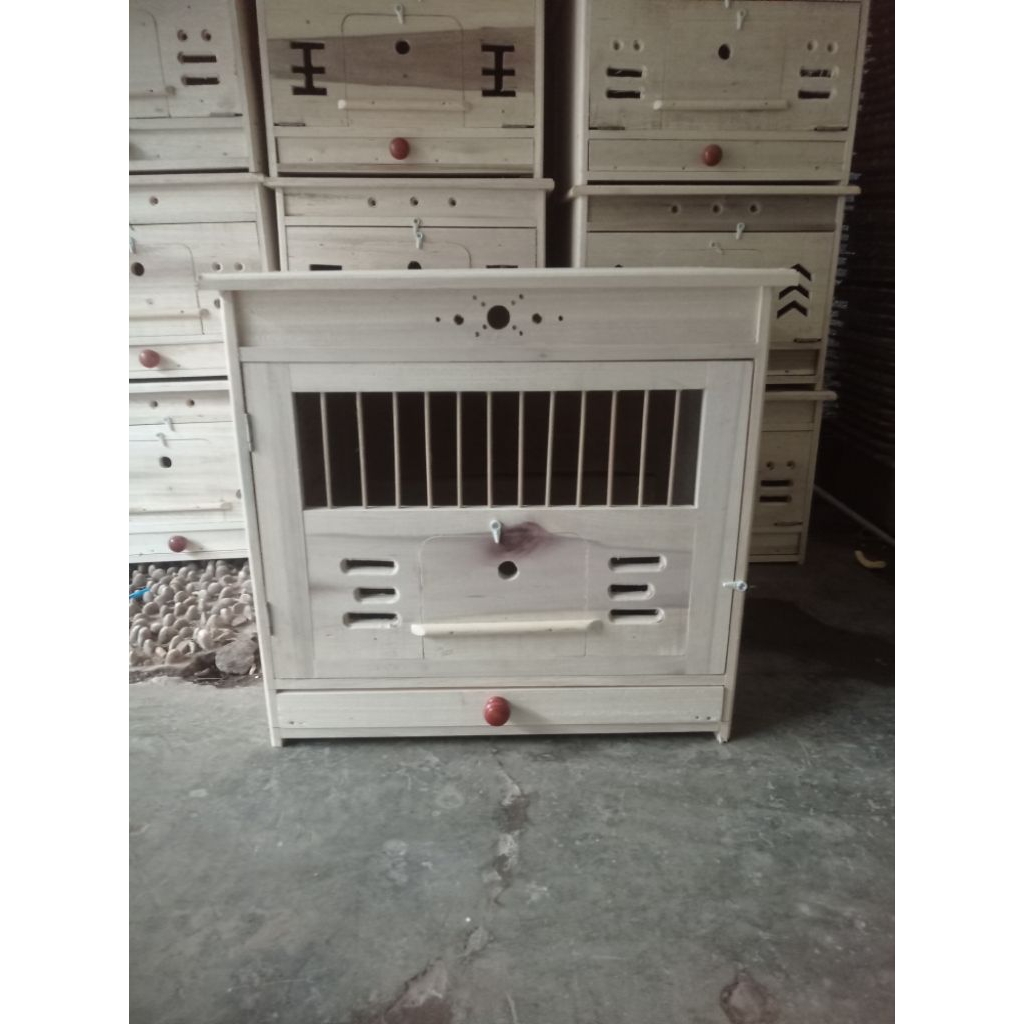 kandang macan mini kandang merpati