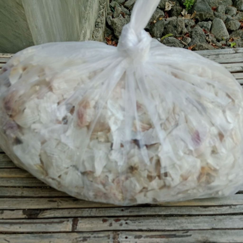 

Kulit bawang putih, pupuk organik