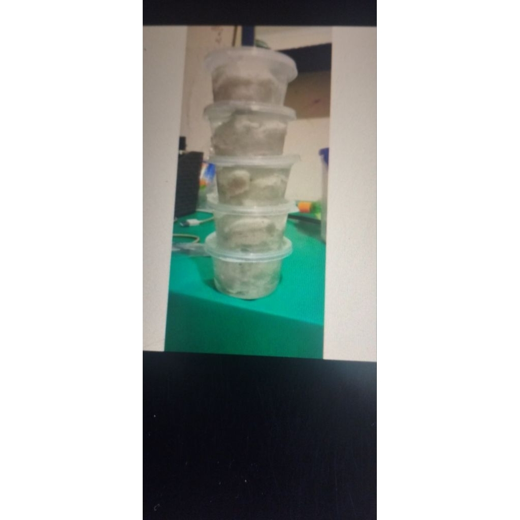 pulut lem burung super lengket