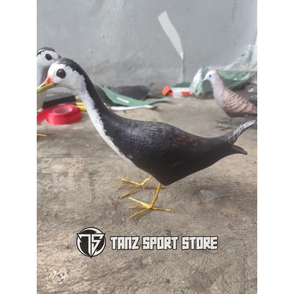 patung jontrot burung ruak ruak / boneka dekoy manuk kareo