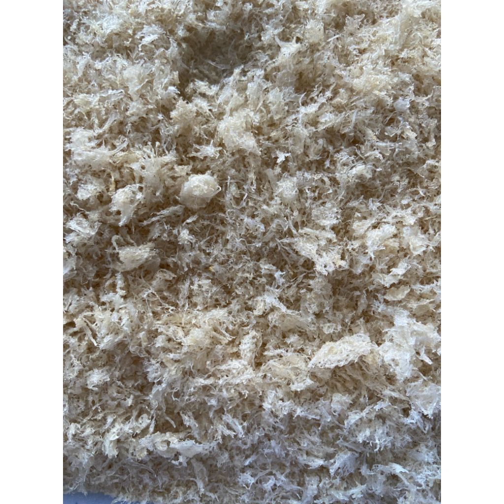 

Sarang Burung Walet Serbuk patahan @1gram