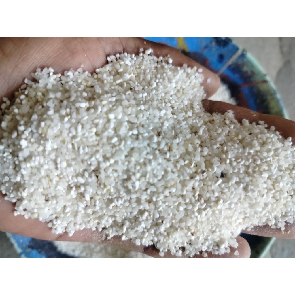 

Beras menir untuk bubur dan lontong